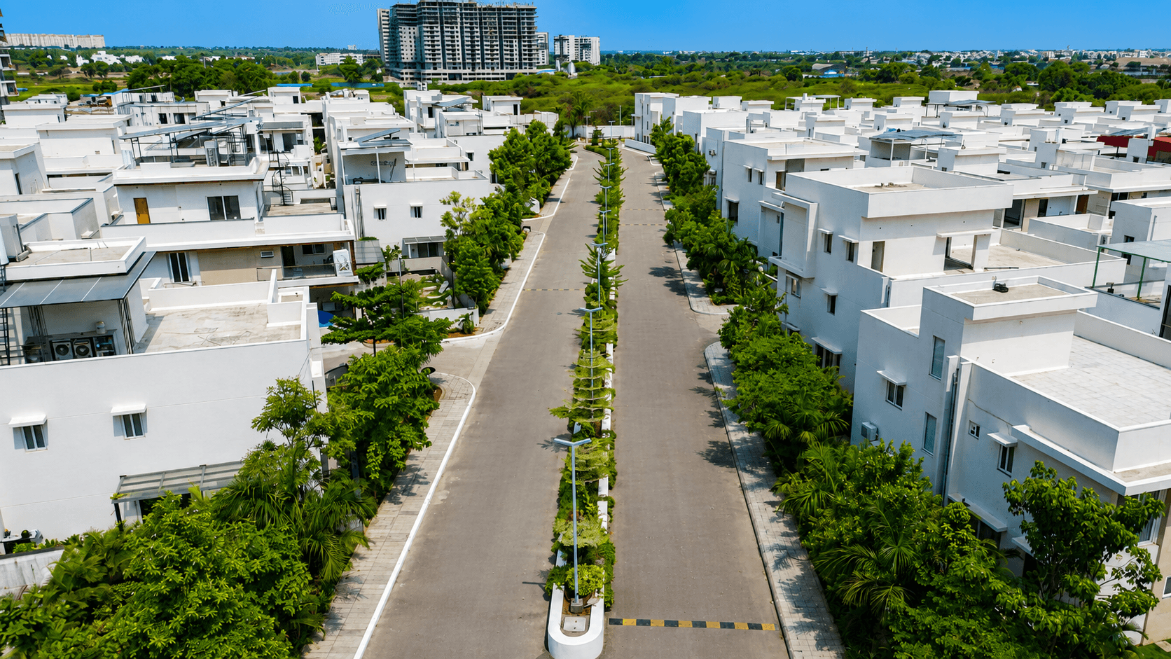 Preston Amari street view during day